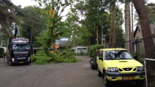 Bomen rooien Broekhuizen